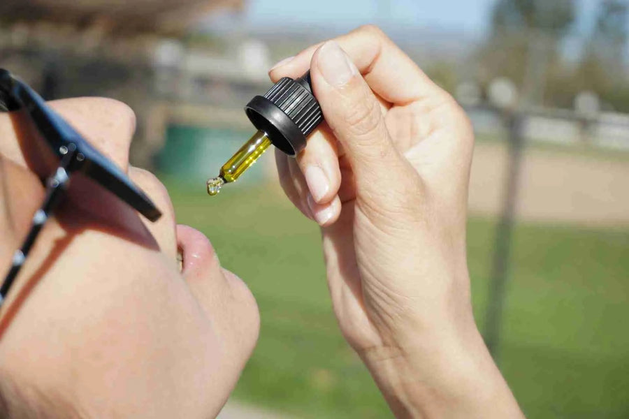 Ontdek de Beste CBD in Amsterdam: Uw Ultieme Gids