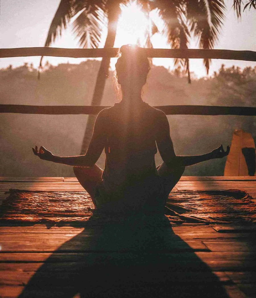 Isolate CBD vs. Full Spectrum CBD: Wat is het verschil en welke is de juiste keuze voor jou?