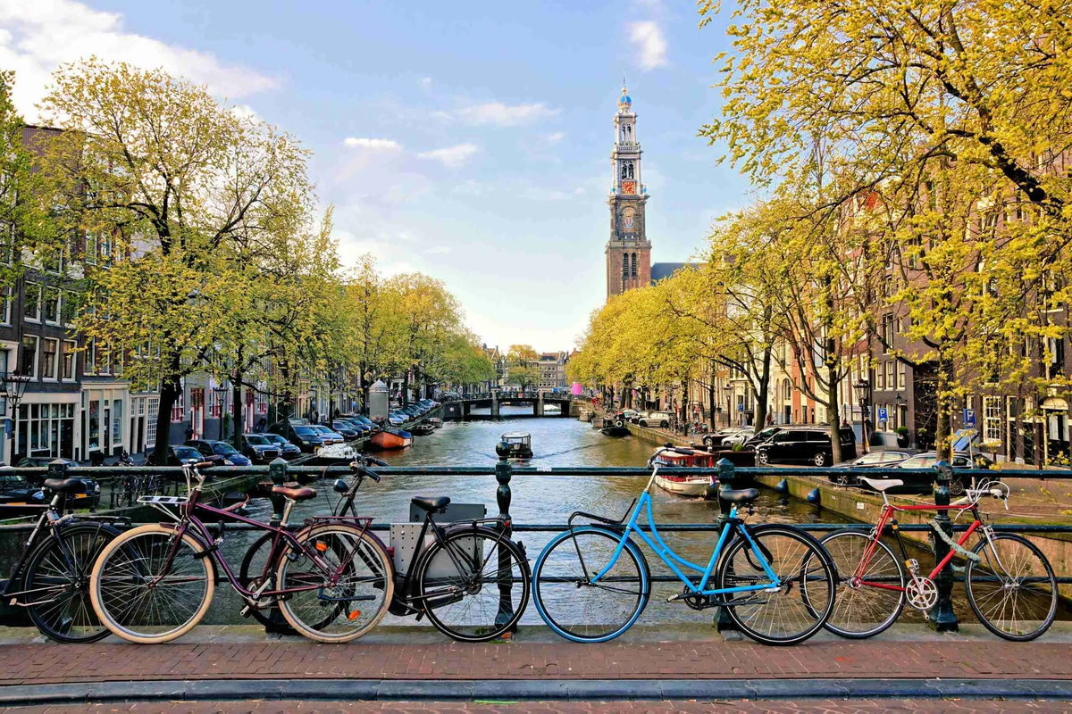 Het Geheim Achter het Succes van CBD-Producenten in Nederland