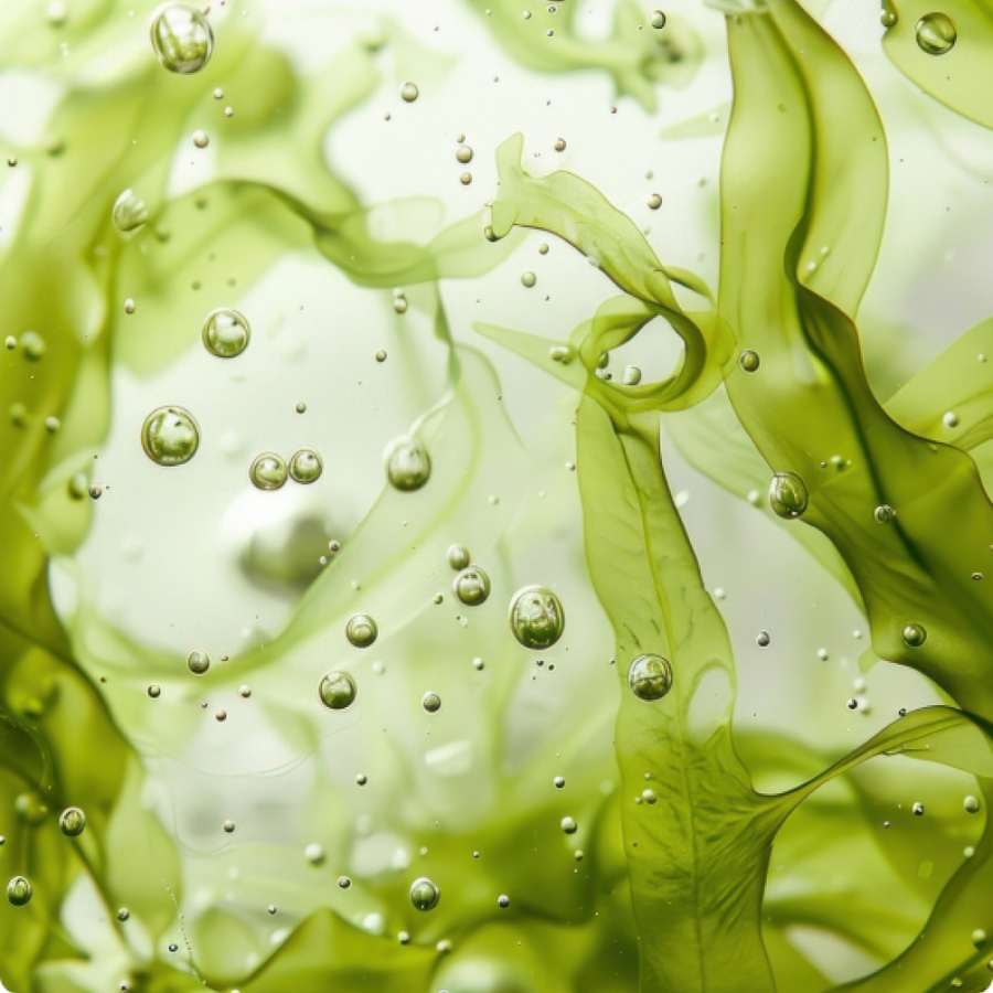 Oorspronkelijke bron van Omega-3